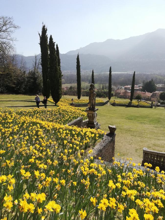 Giardino Διαμέρισμα Porto Valtravaglia Εξωτερικό φωτογραφία